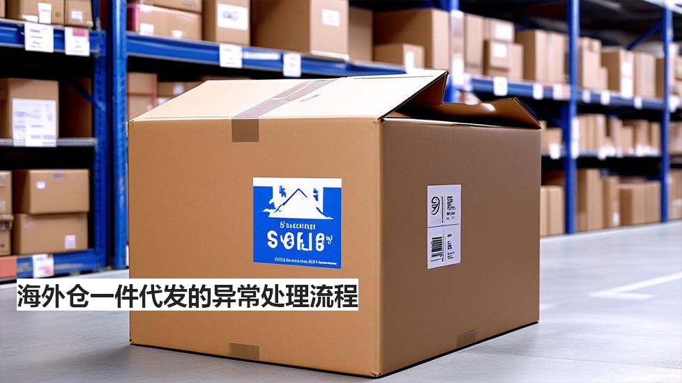 海外仓一件代发的异常处理流程