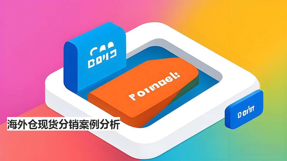 海外仓现货分销案例分析